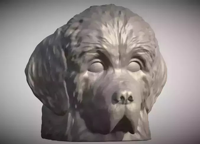 Puppy of Newfoundland dog head for 3D printing