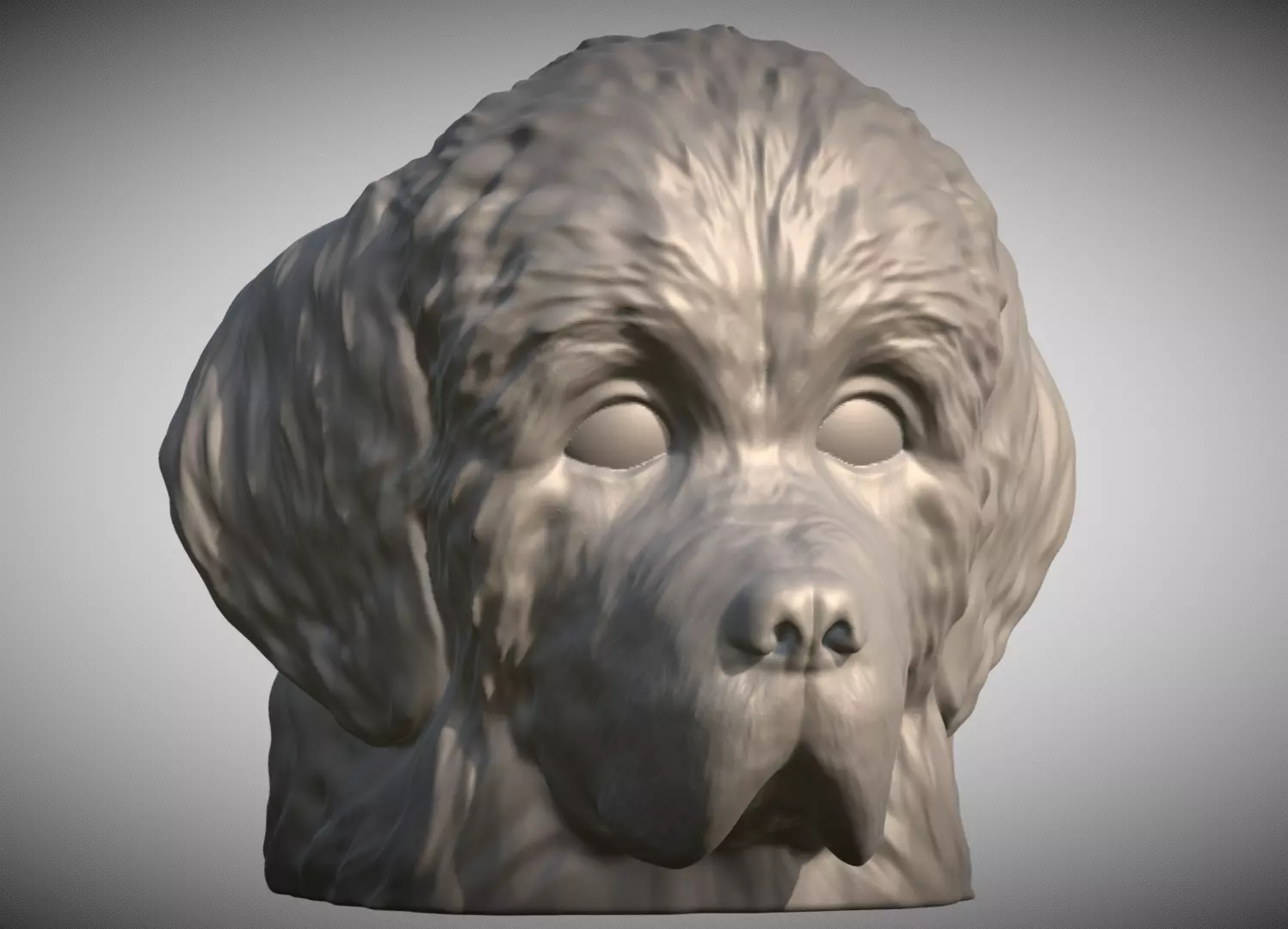 Puppy of Newfoundland dog head for 3D printing 3D print model_0