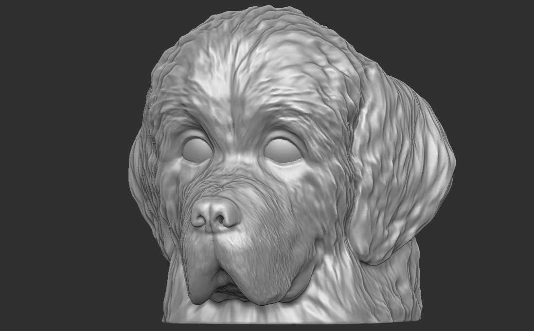 Puppy of Newfoundland dog head for 3D printing 3D print model_4