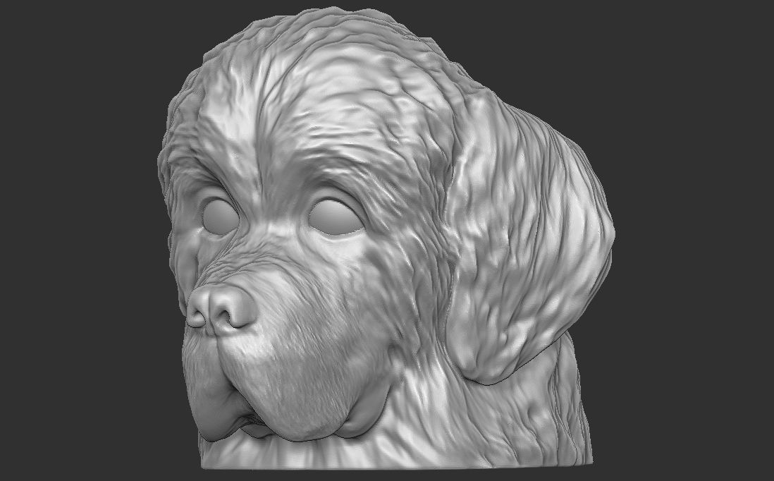 Puppy of Newfoundland dog head for 3D printing 3D print model_5
