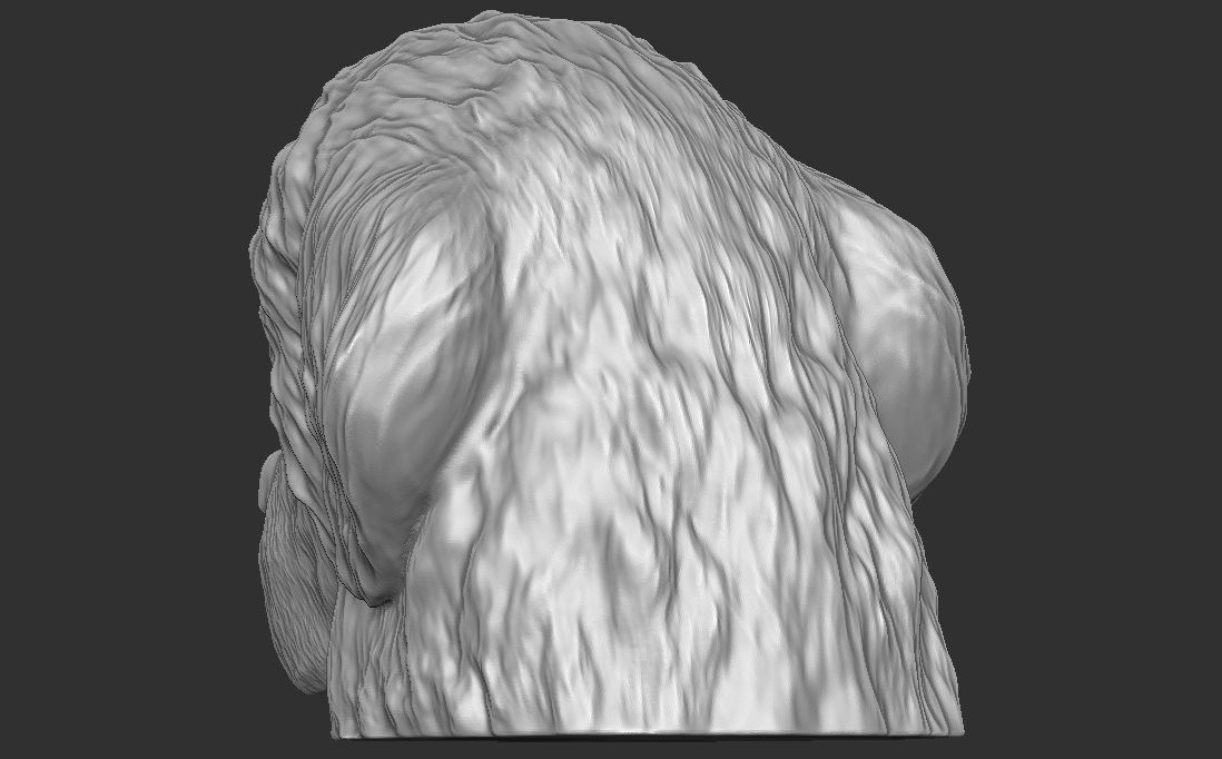 Puppy of Newfoundland dog head for 3D printing 3D print model_12