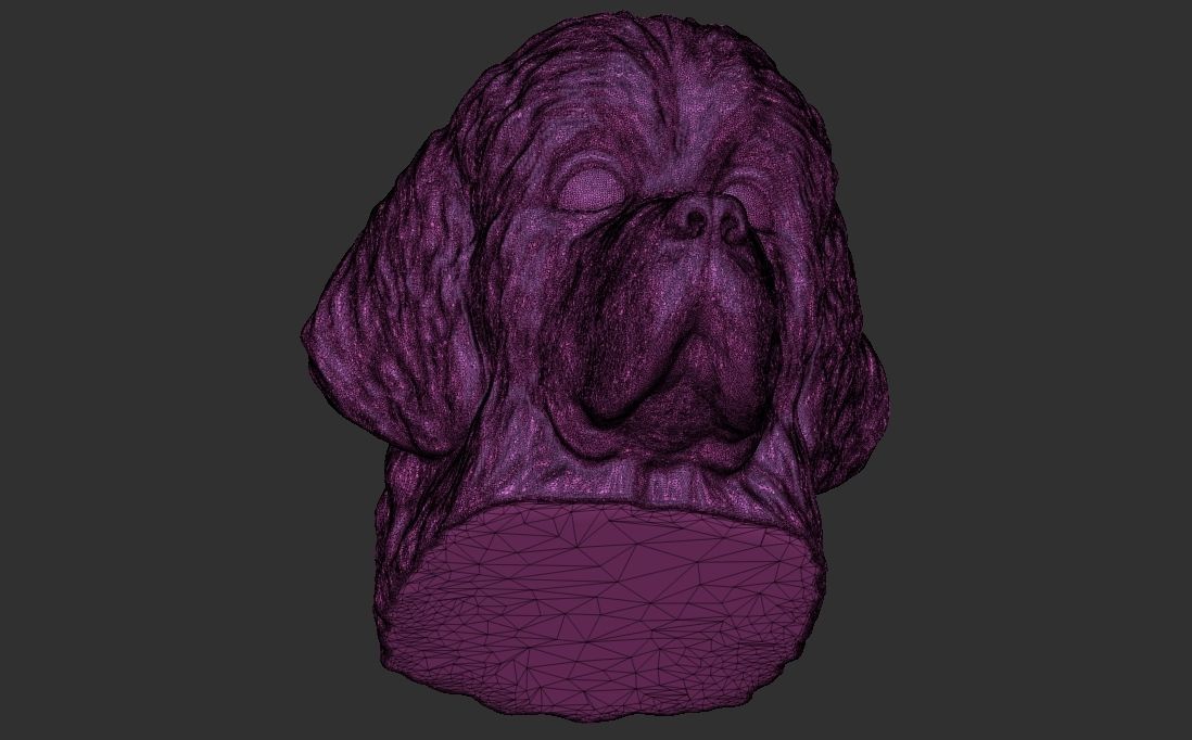 Puppy of Newfoundland dog head for 3D printing 3D print model_26