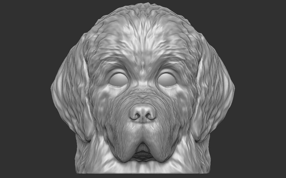 Puppy of Newfoundland dog head for 3D printing 3D print model_6