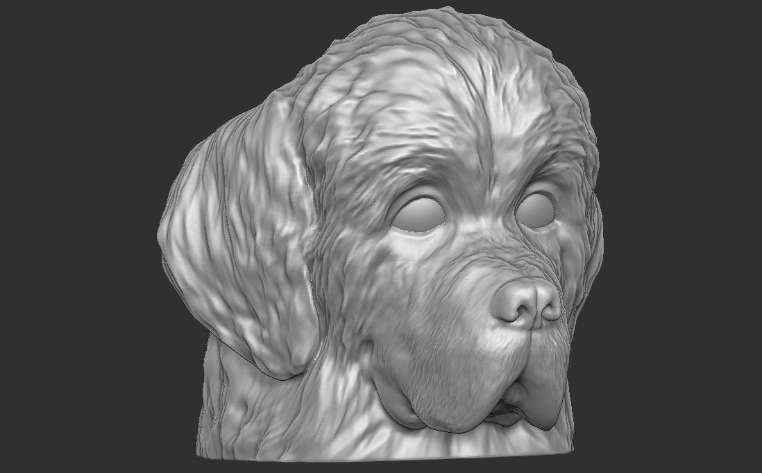 Puppy of Newfoundland dog head for 3D printing 3D print model_7