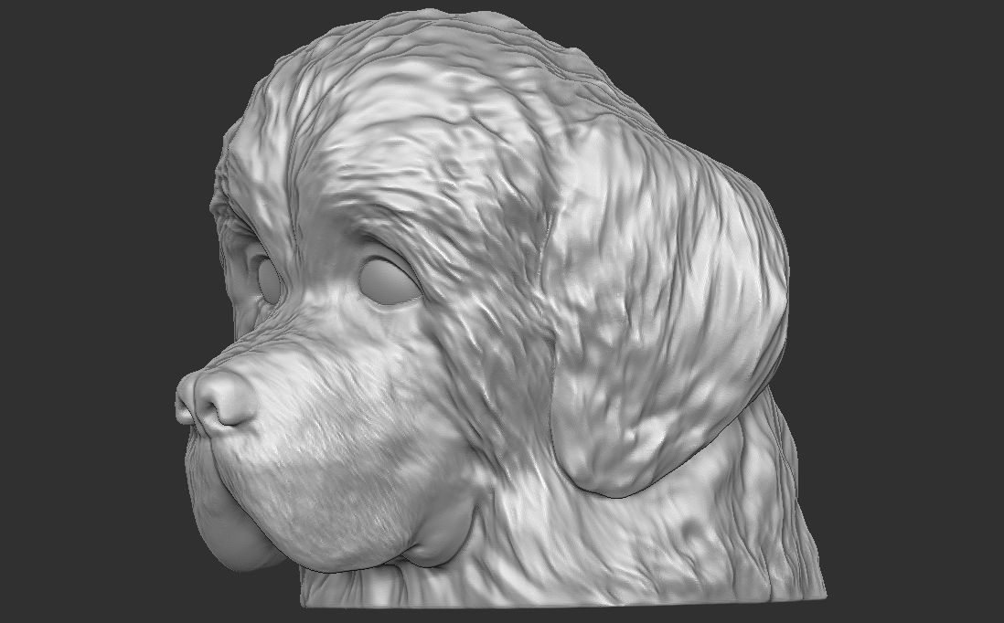 Puppy of Newfoundland dog head for 3D printing 3D print model_14