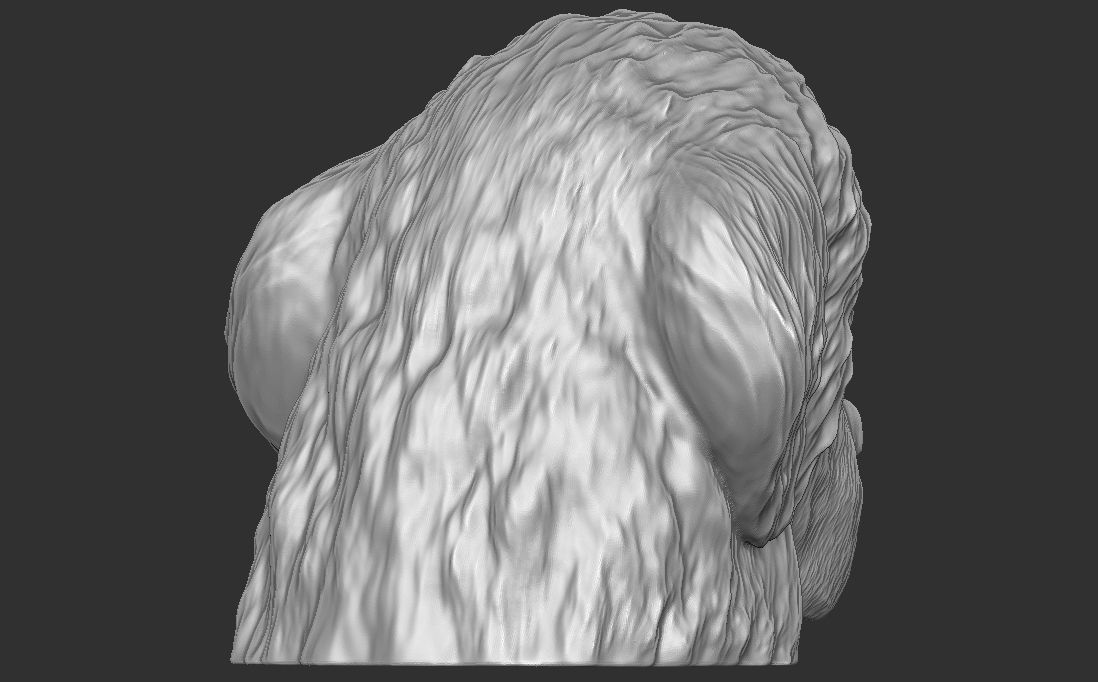 Puppy of Newfoundland dog head for 3D printing 3D print model_10