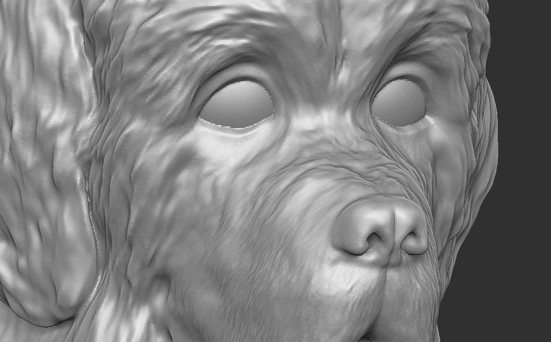 Puppy of Newfoundland dog head for 3D printing 3D print model_19