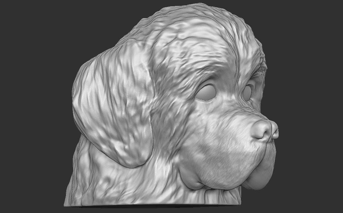 Puppy of Newfoundland dog head for 3D printing 3D print model_8