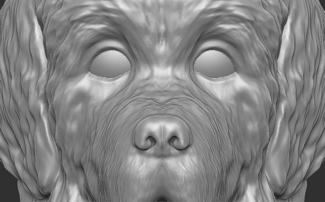 Puppy of Newfoundland dog head for 3D printing 3D print model_18