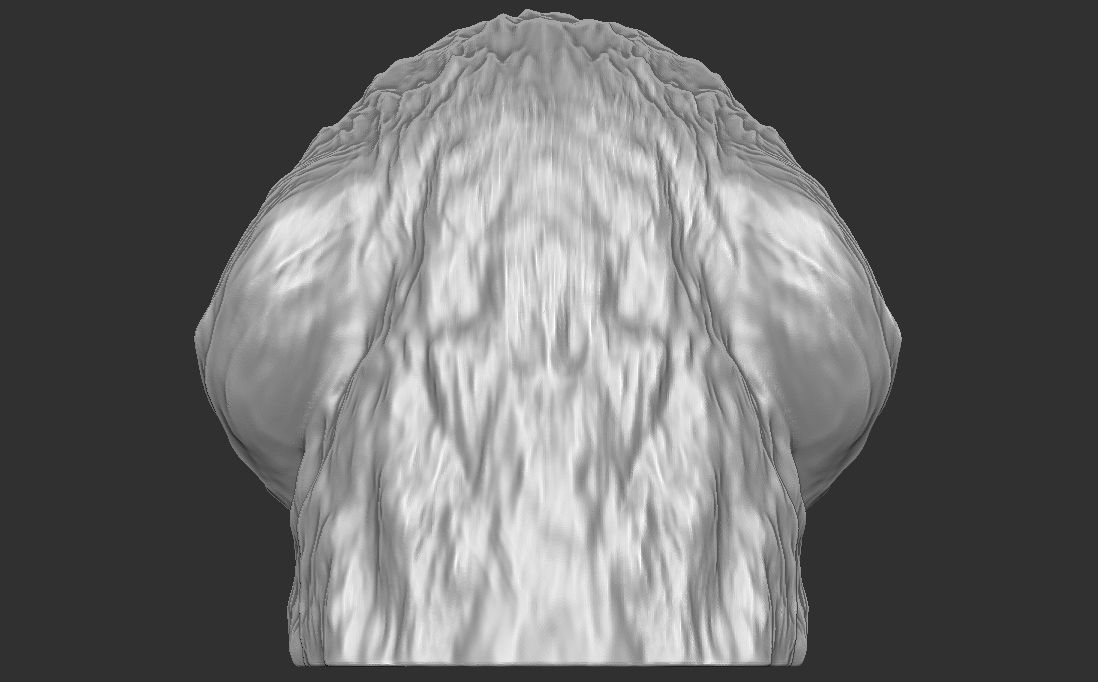 Puppy of Newfoundland dog head for 3D printing 3D print model_11