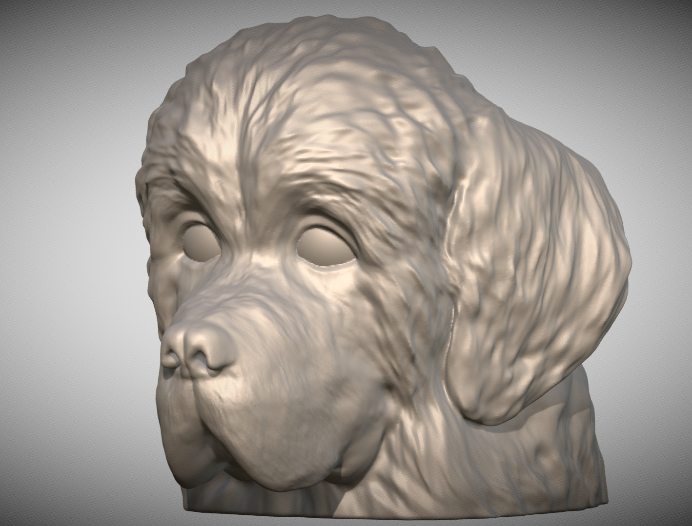 Puppy of Newfoundland dog head for 3D printing 3D print model_1