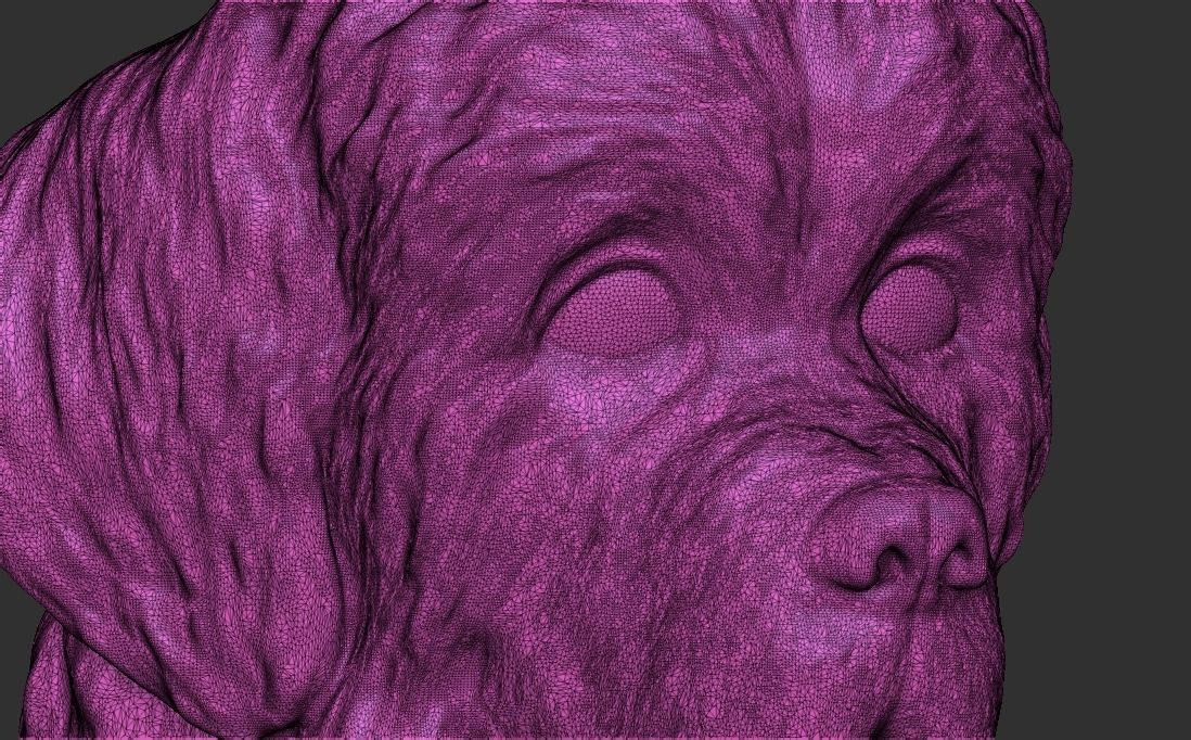 Puppy of Newfoundland dog head for 3D printing 3D print model_25