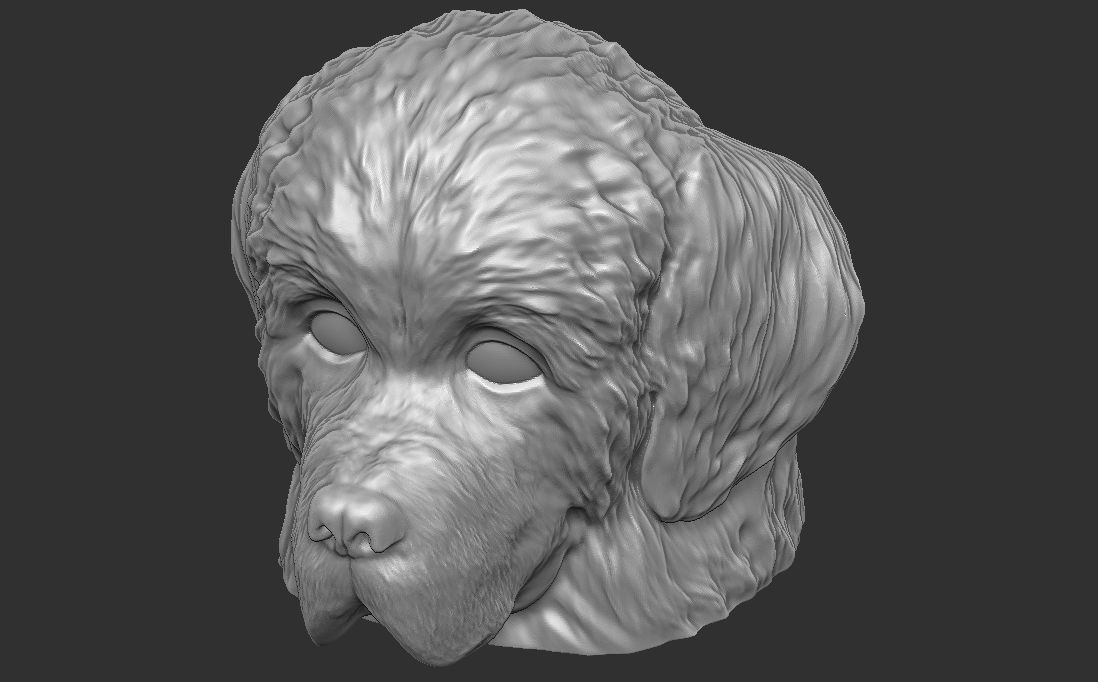 Puppy of Newfoundland dog head for 3D printing 3D print model_21