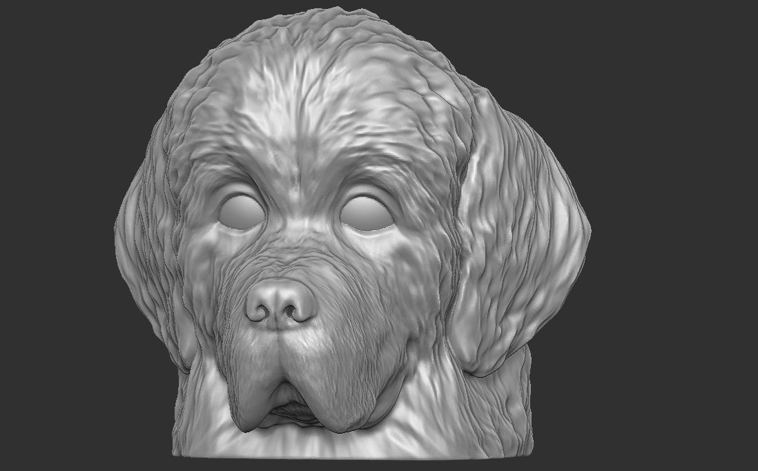 Puppy of Newfoundland dog head for 3D printing 3D print model_17