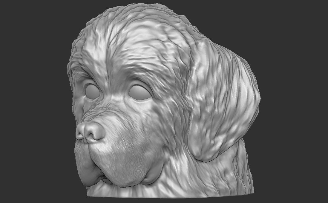 Puppy of Newfoundland dog head for 3D printing 3D print model_15