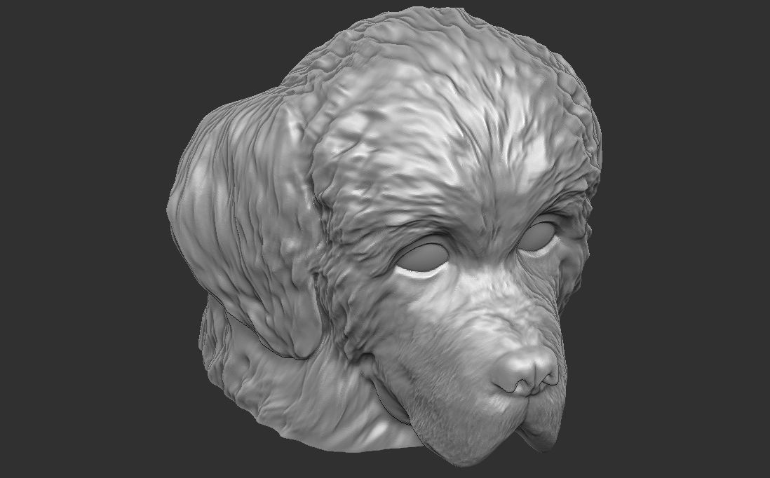 Puppy of Newfoundland dog head for 3D printing 3D print model_20
