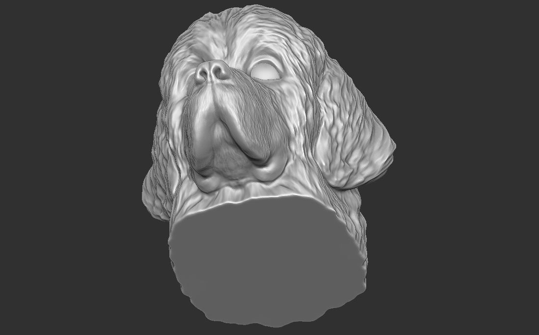 Puppy of Newfoundland dog head for 3D printing 3D print model_22