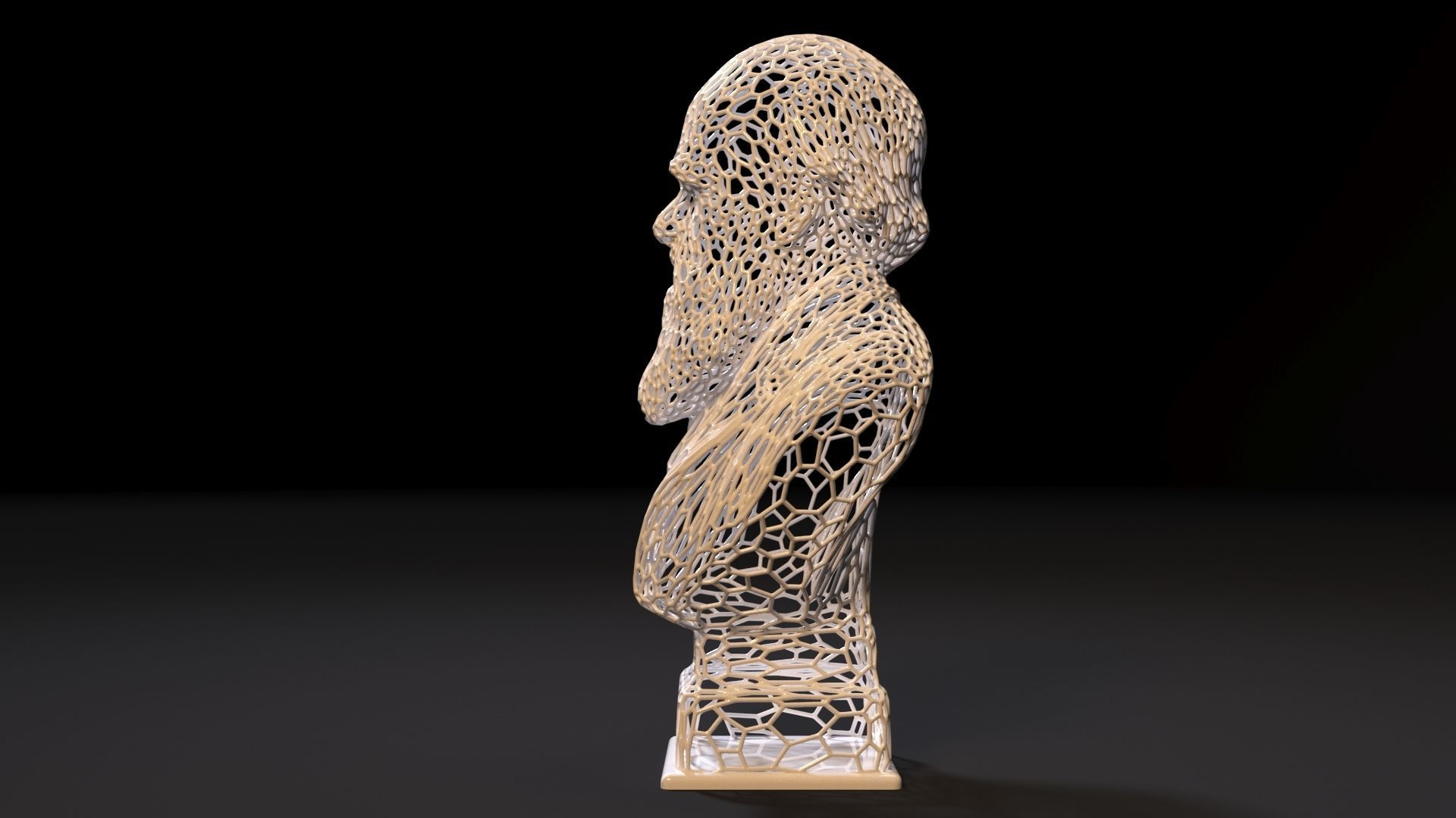 Charles Darwin 3D print model_1