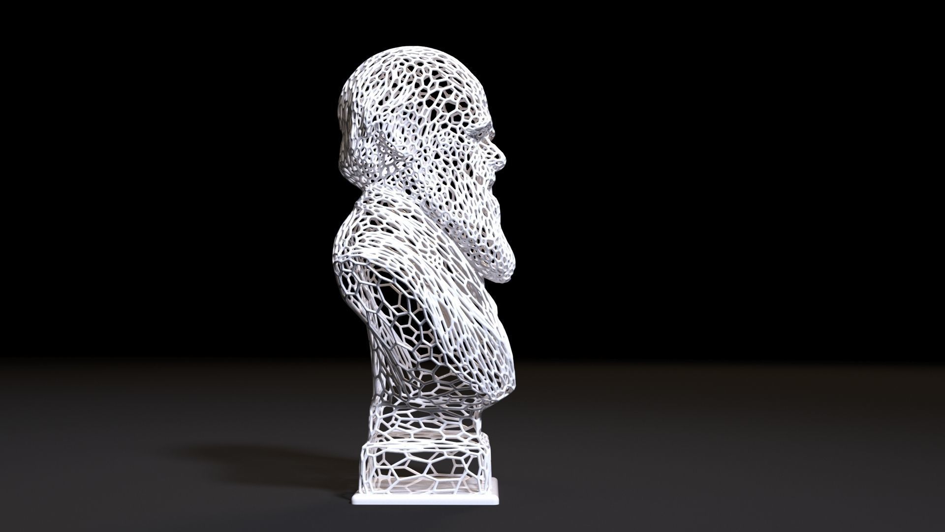 Charles Darwin 3D print model_5