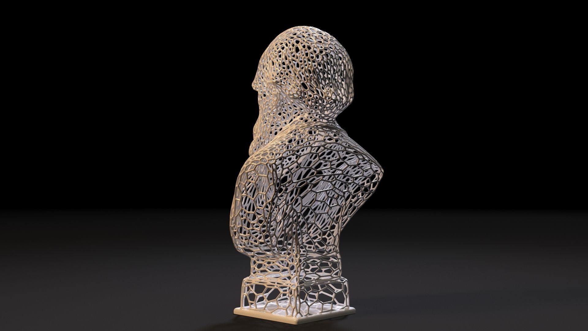 Charles Darwin 3D print model_2