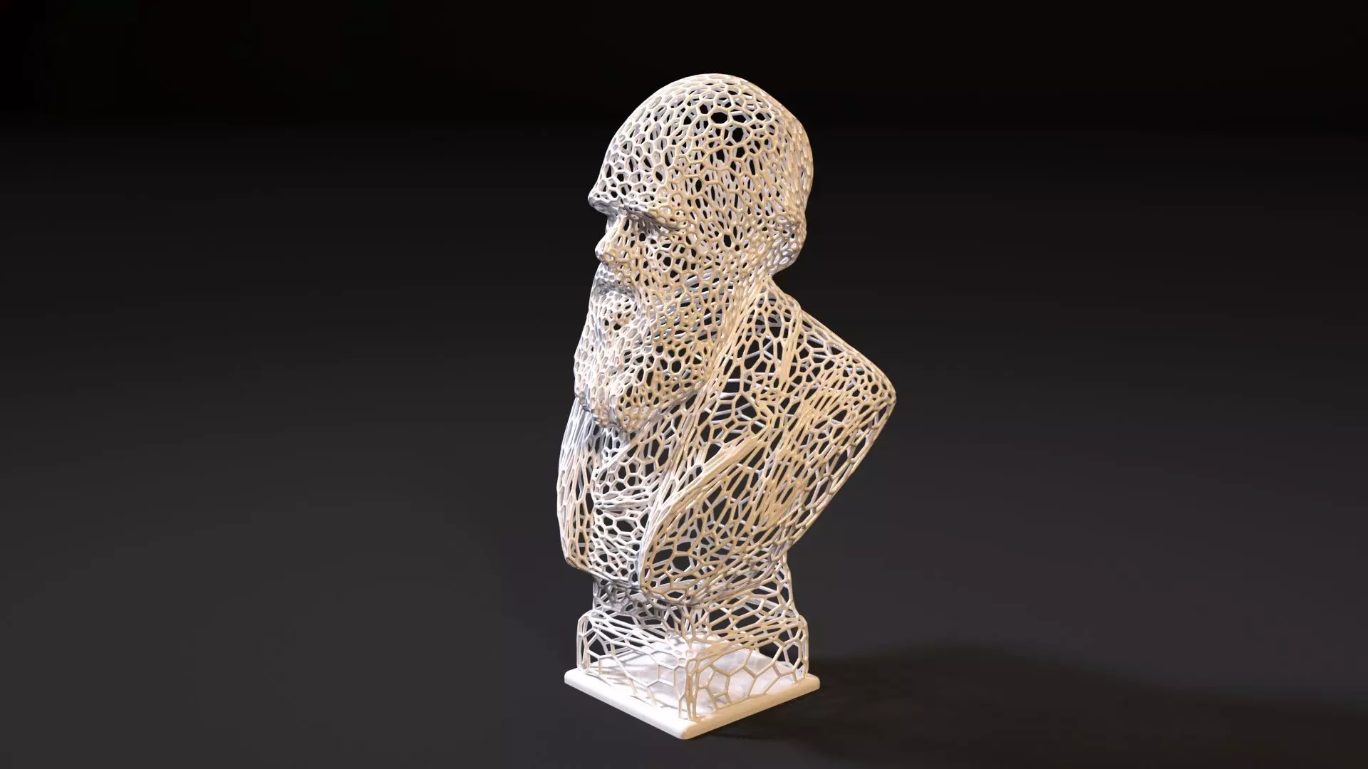 Charles Darwin 3D print model_0