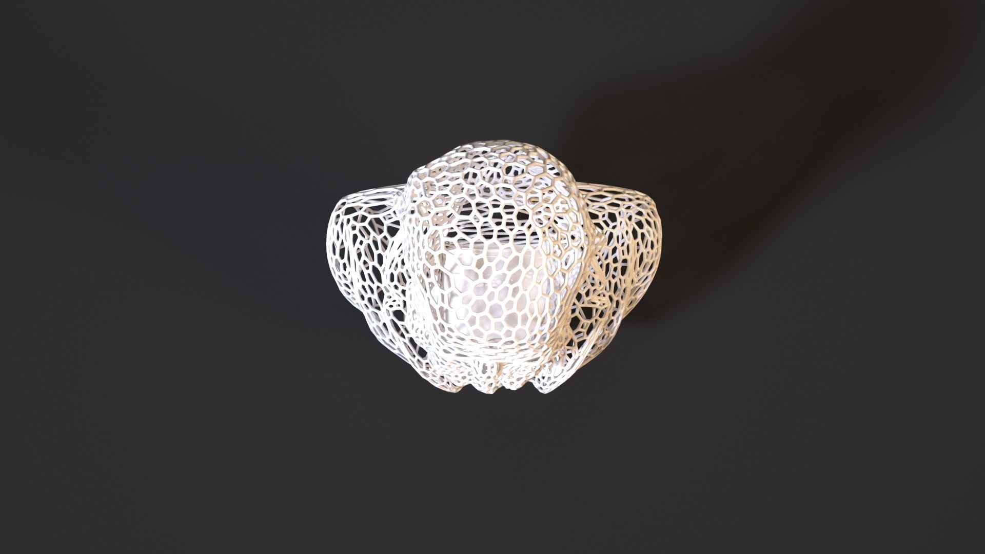 Charles Darwin 3D print model_8