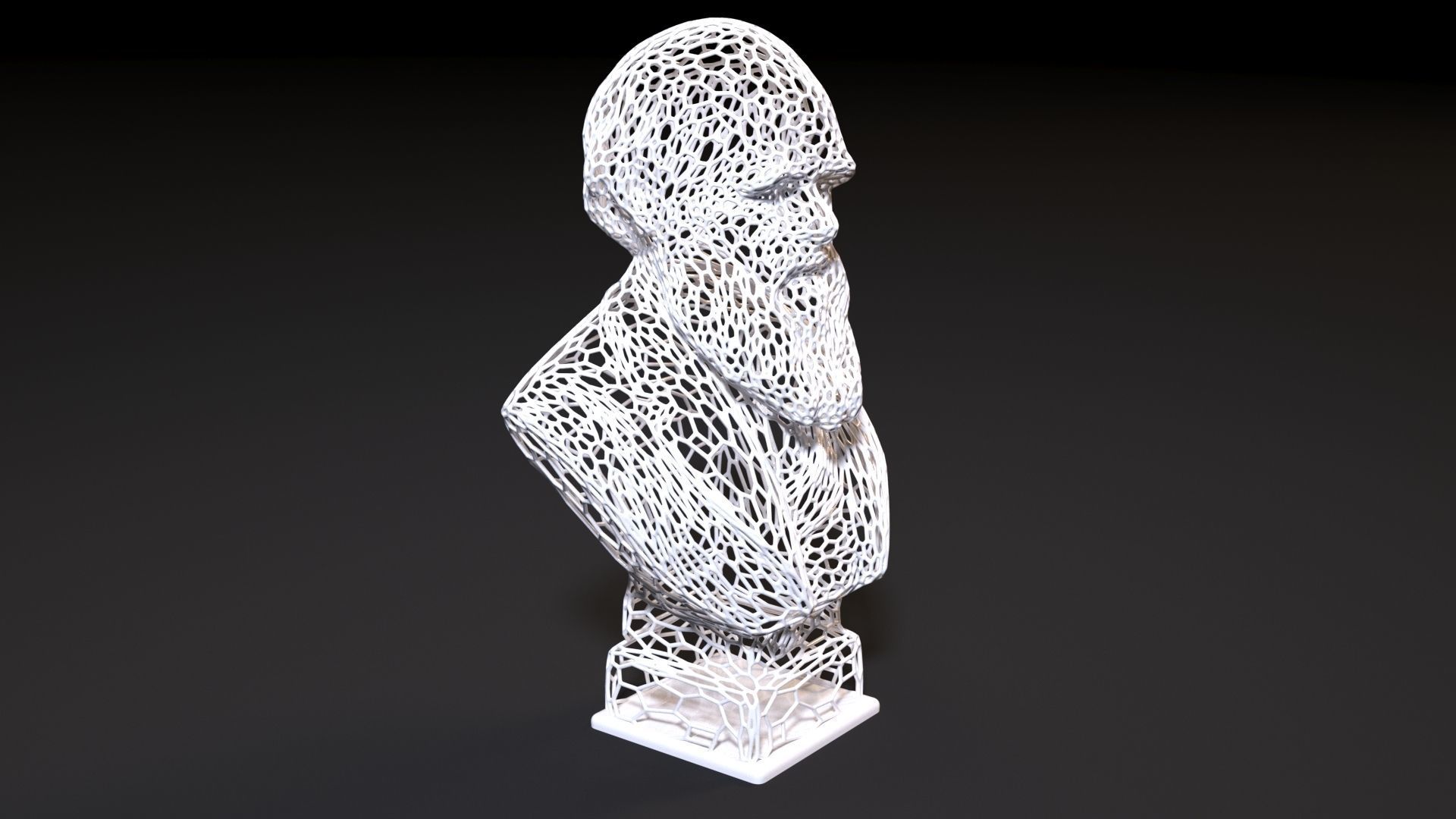 Charles Darwin 3D print model_6