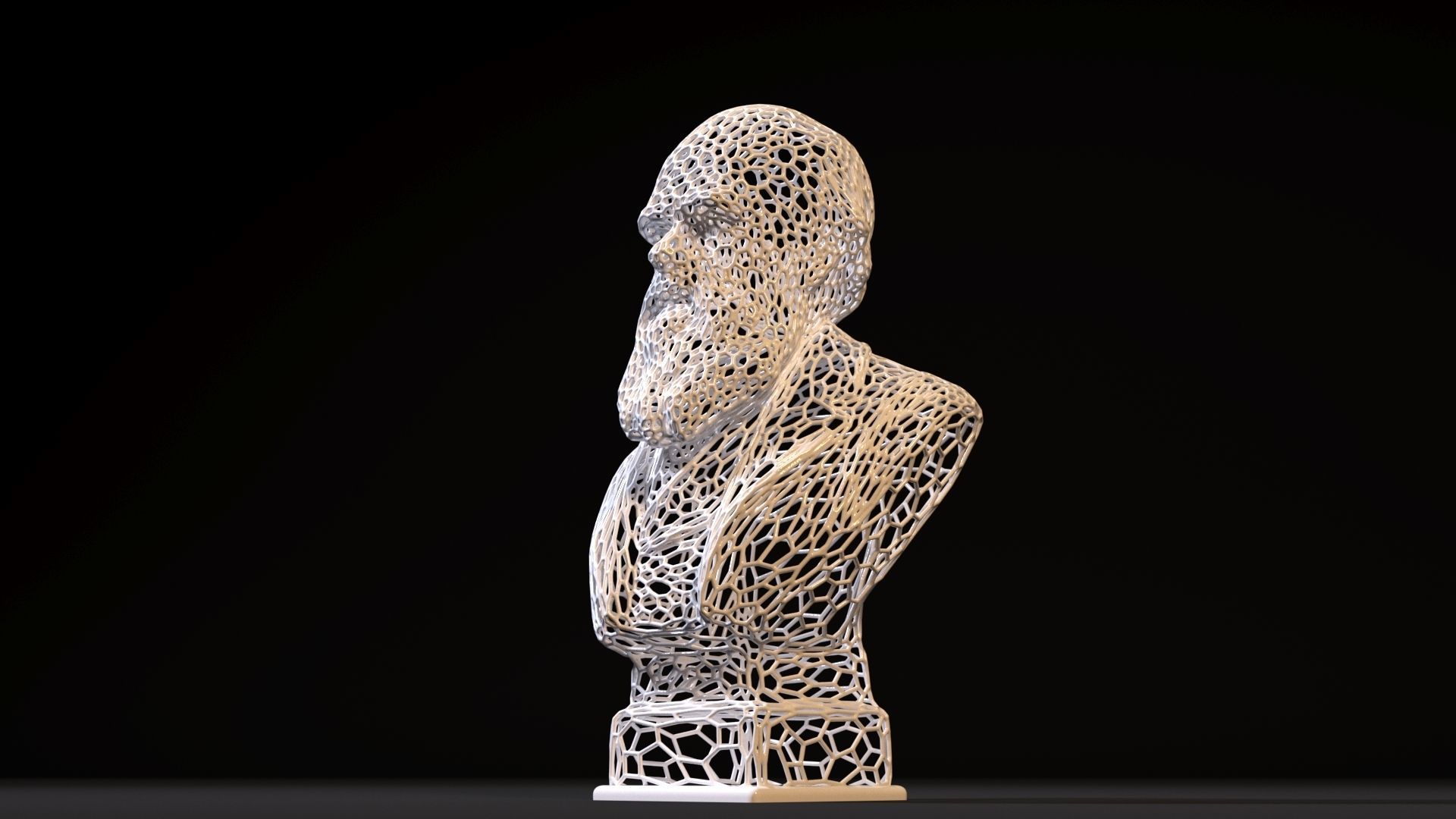 Charles Darwin 3D print model_9