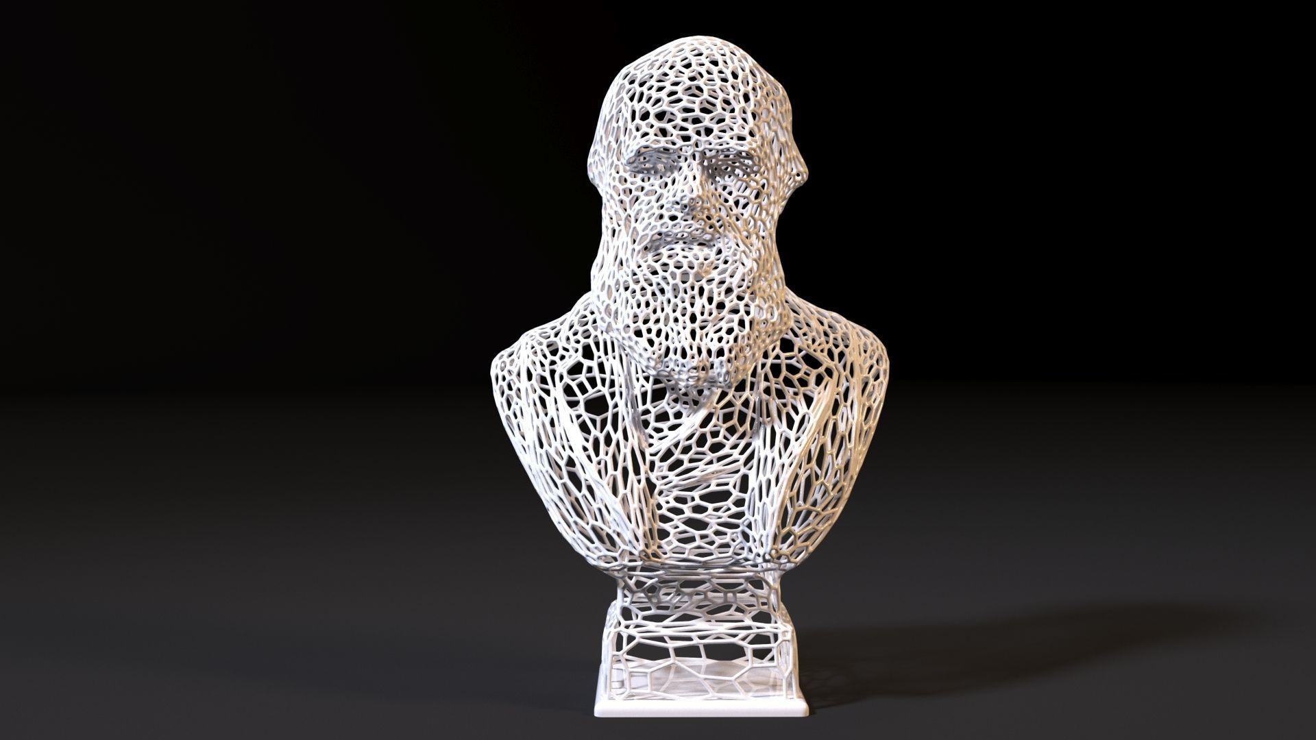 Charles Darwin 3D print model_7