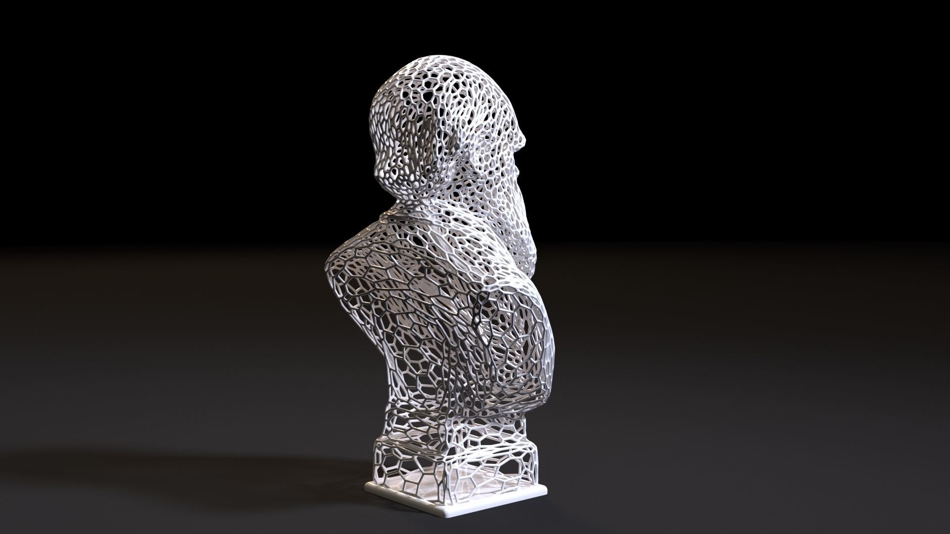 Charles Darwin 3D print model_4