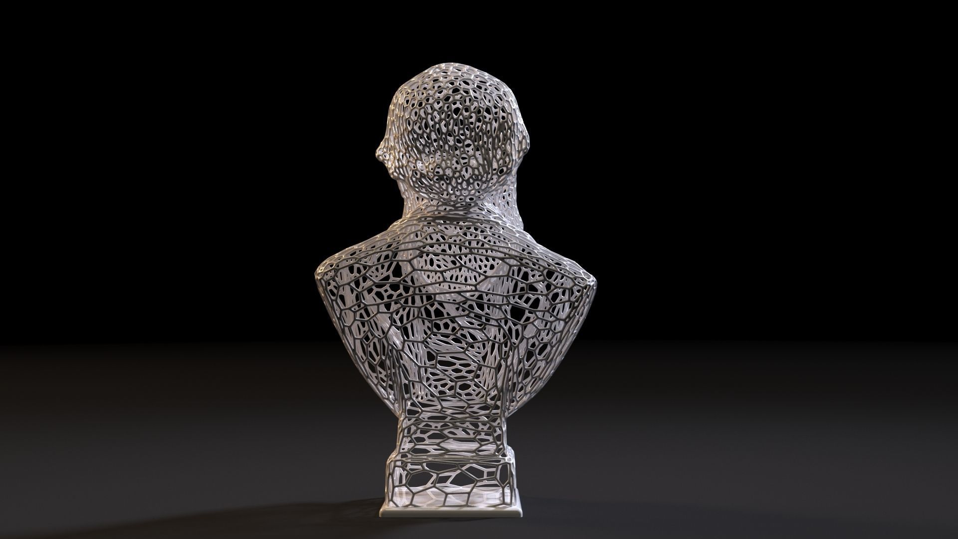 Charles Darwin 3D print model_3
