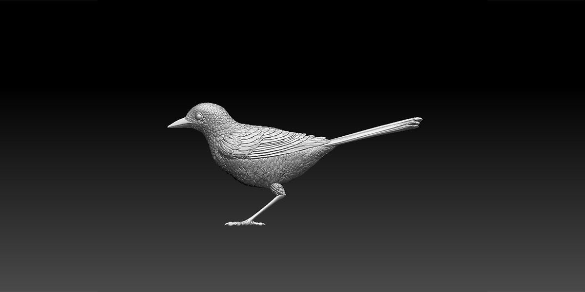 wagtail 3D print model_33