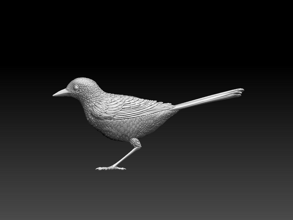 wagtail 3D print model_38