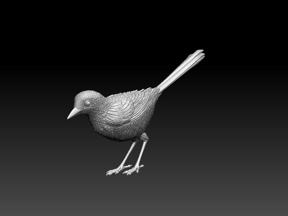 wagtail 3D print model_7
