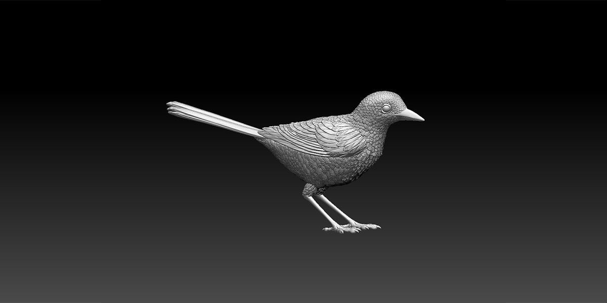 wagtail 3D print model_19