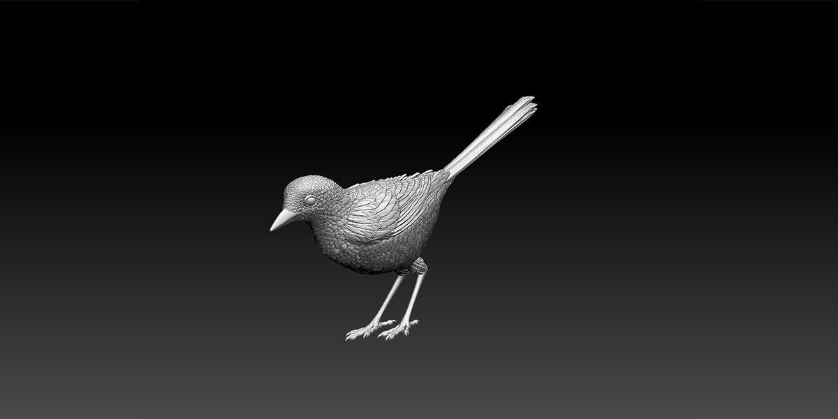 wagtail 3D print model_17