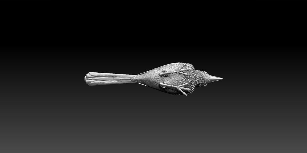 wagtail 3D print model_34