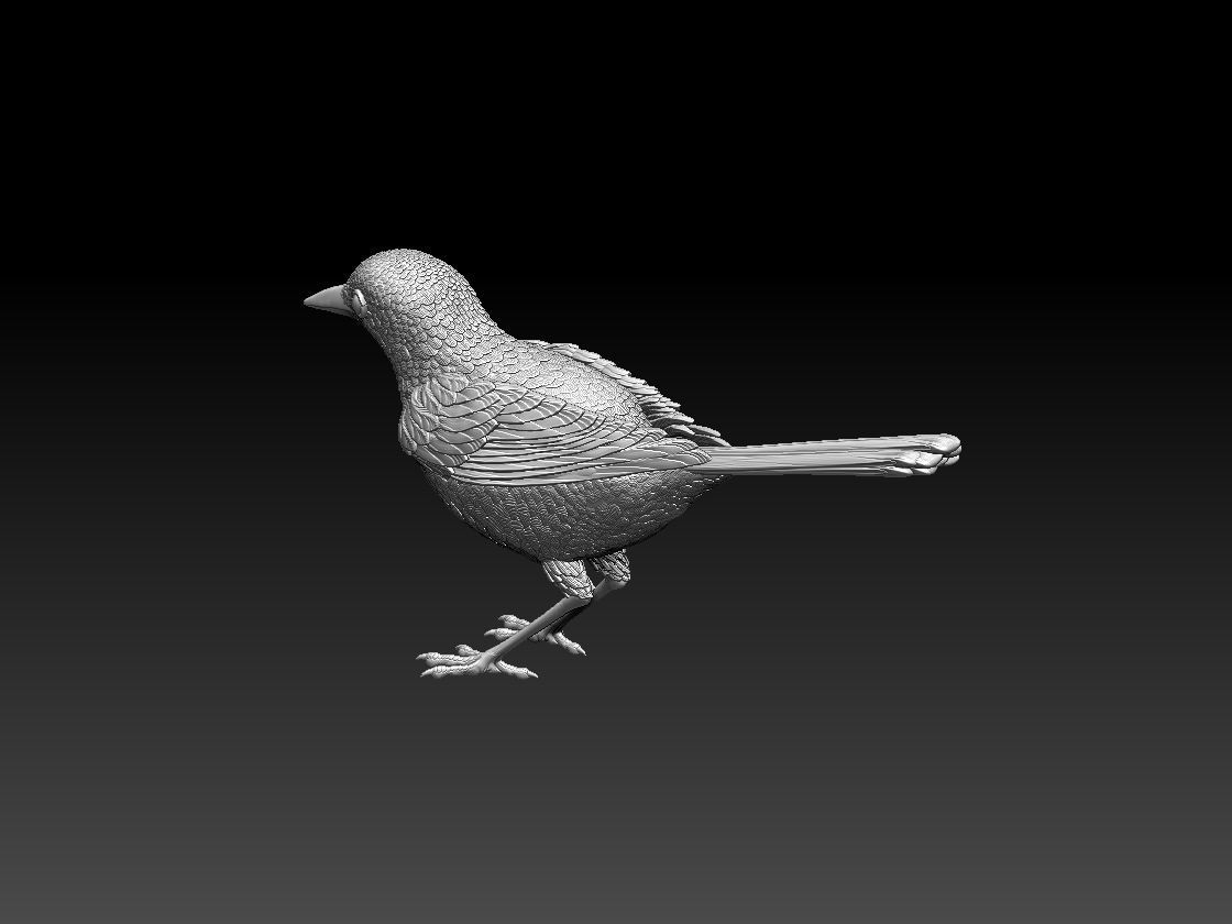 wagtail 3D print model_53