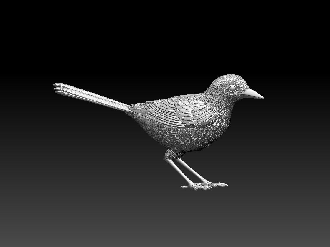 wagtail 3D print model_49