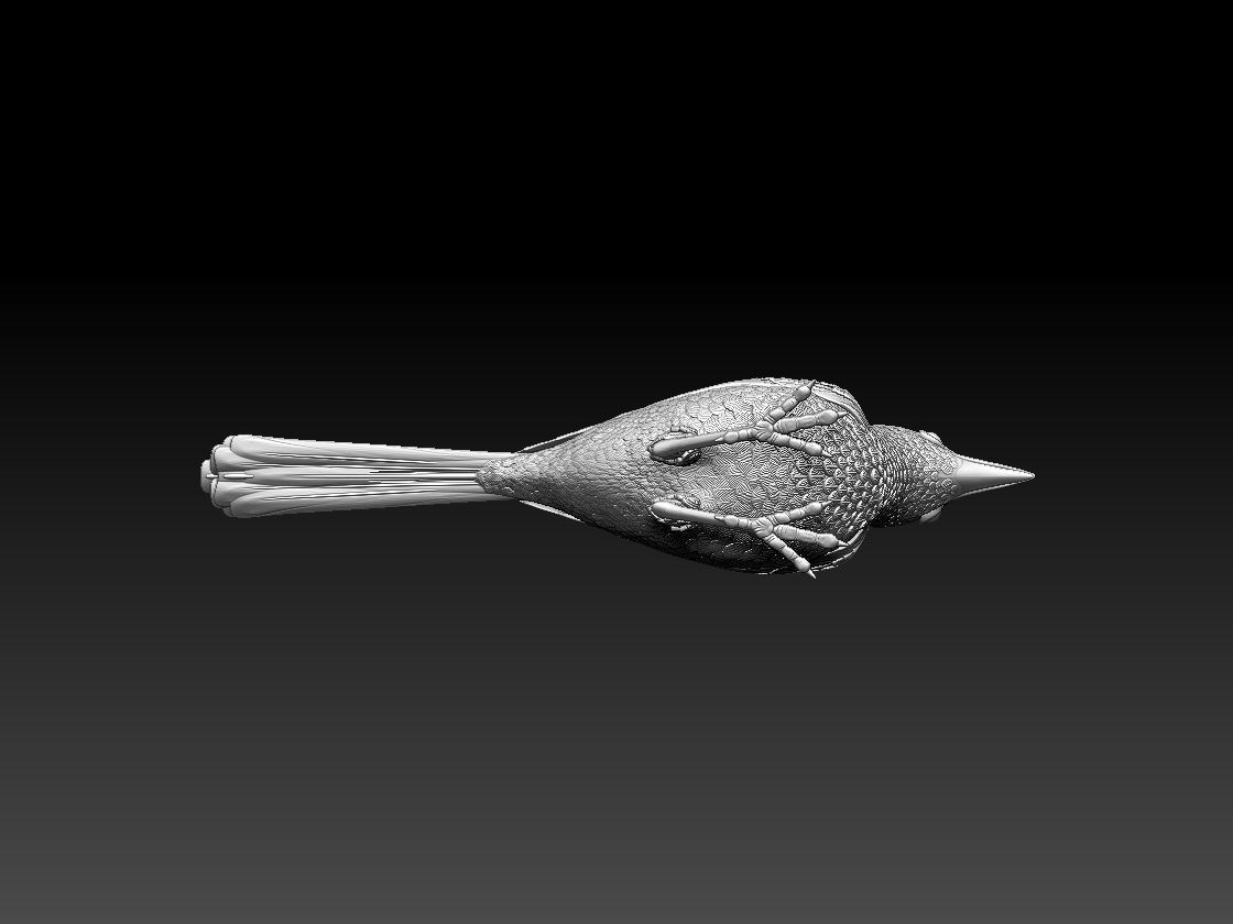 wagtail 3D print model_54