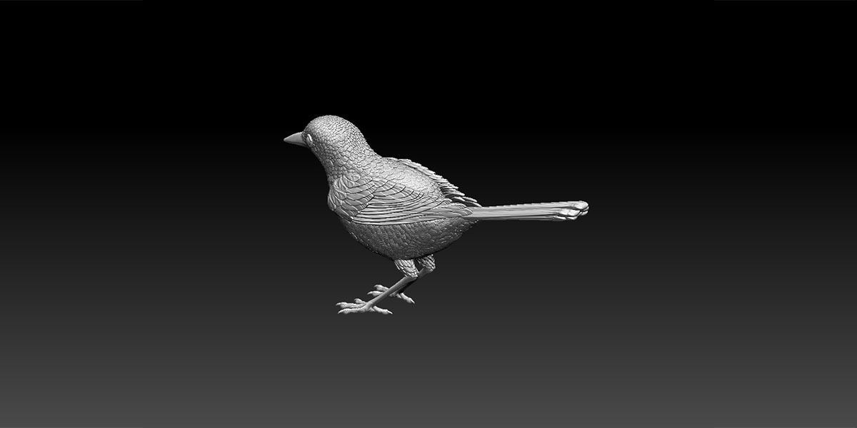 wagtail 3D print model_29