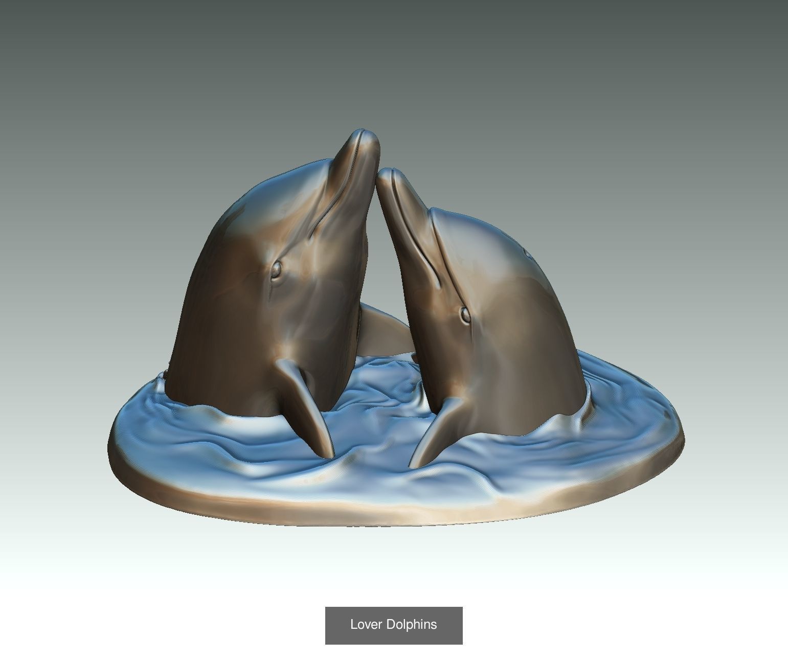 DOLPHINS 3D Model Collection_4