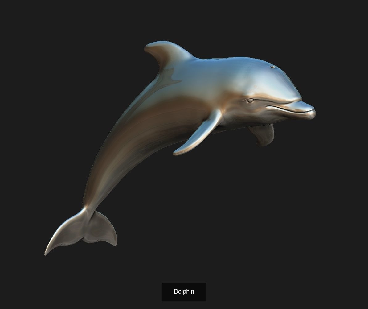 DOLPHINS 3D Model Collection_1
