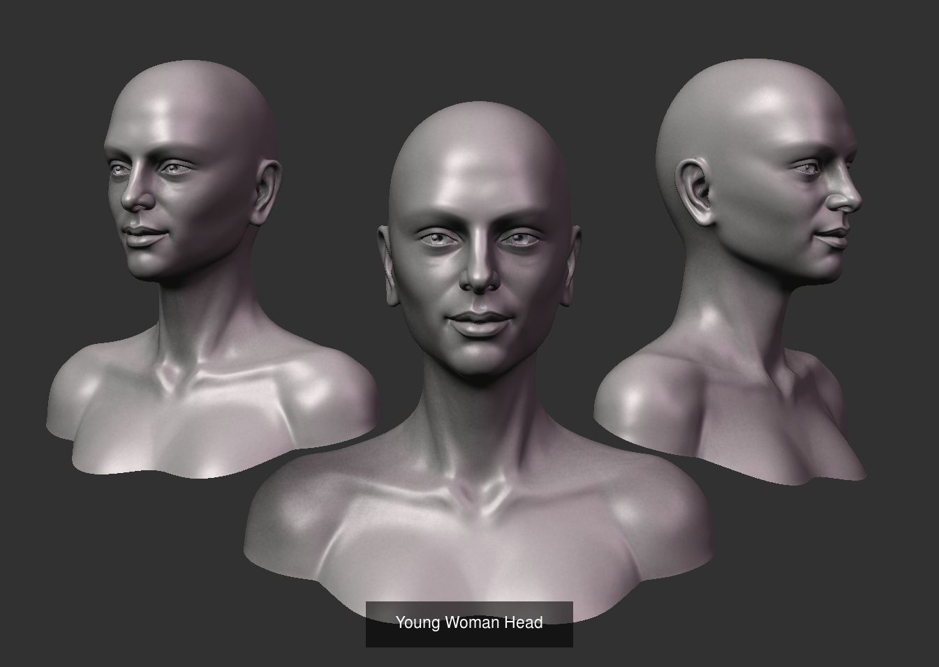 Male and female bust sculpture base 3D Model Collection_1