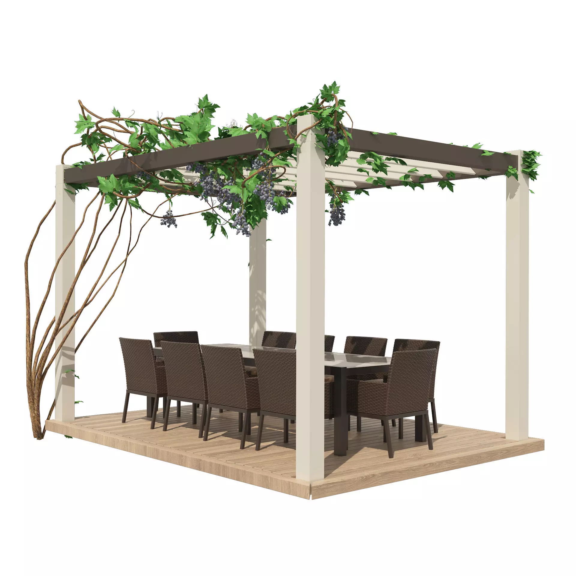 Modern pergola with climber grapevine 3d model 3D model