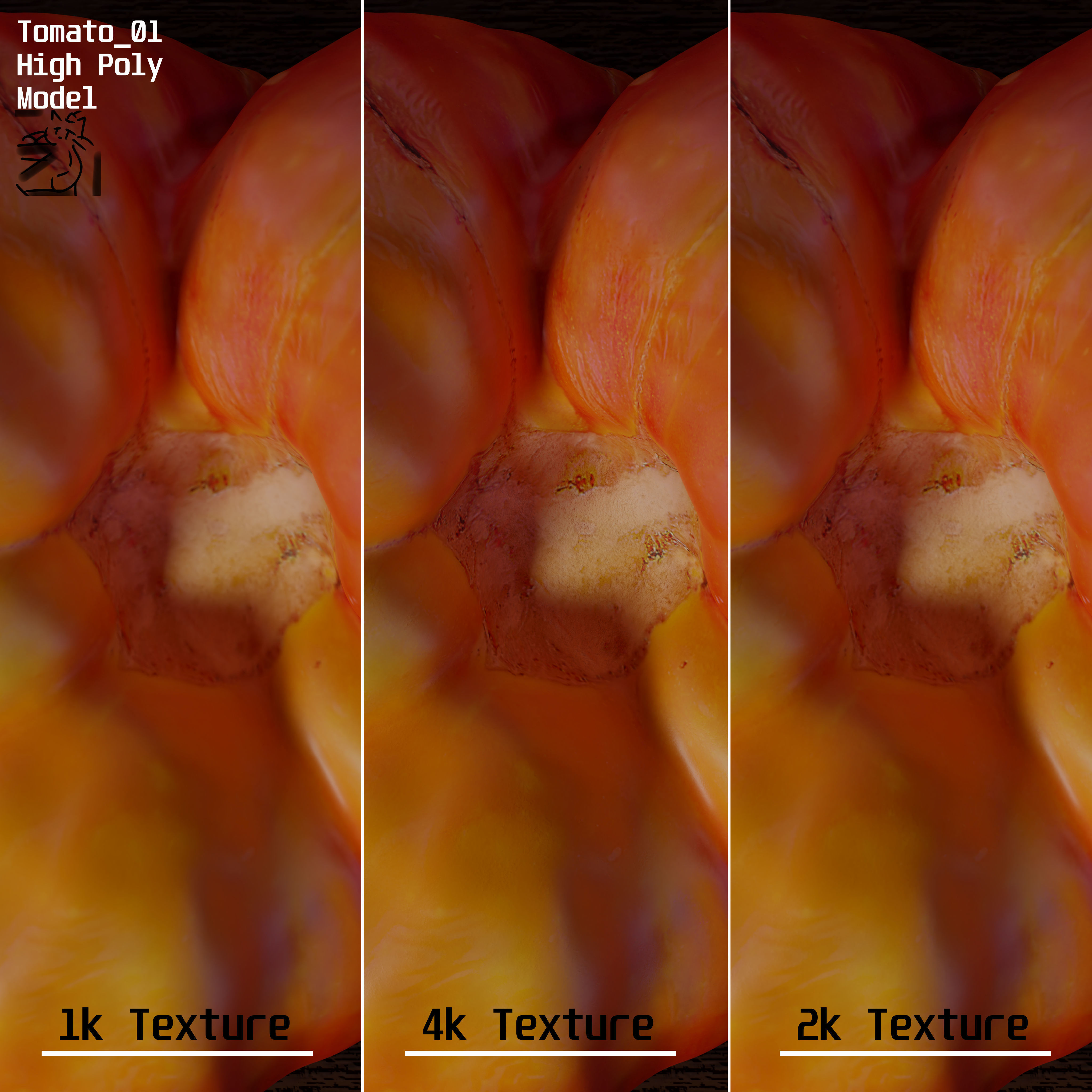 Tomato 01 Low-poly 3D model_17