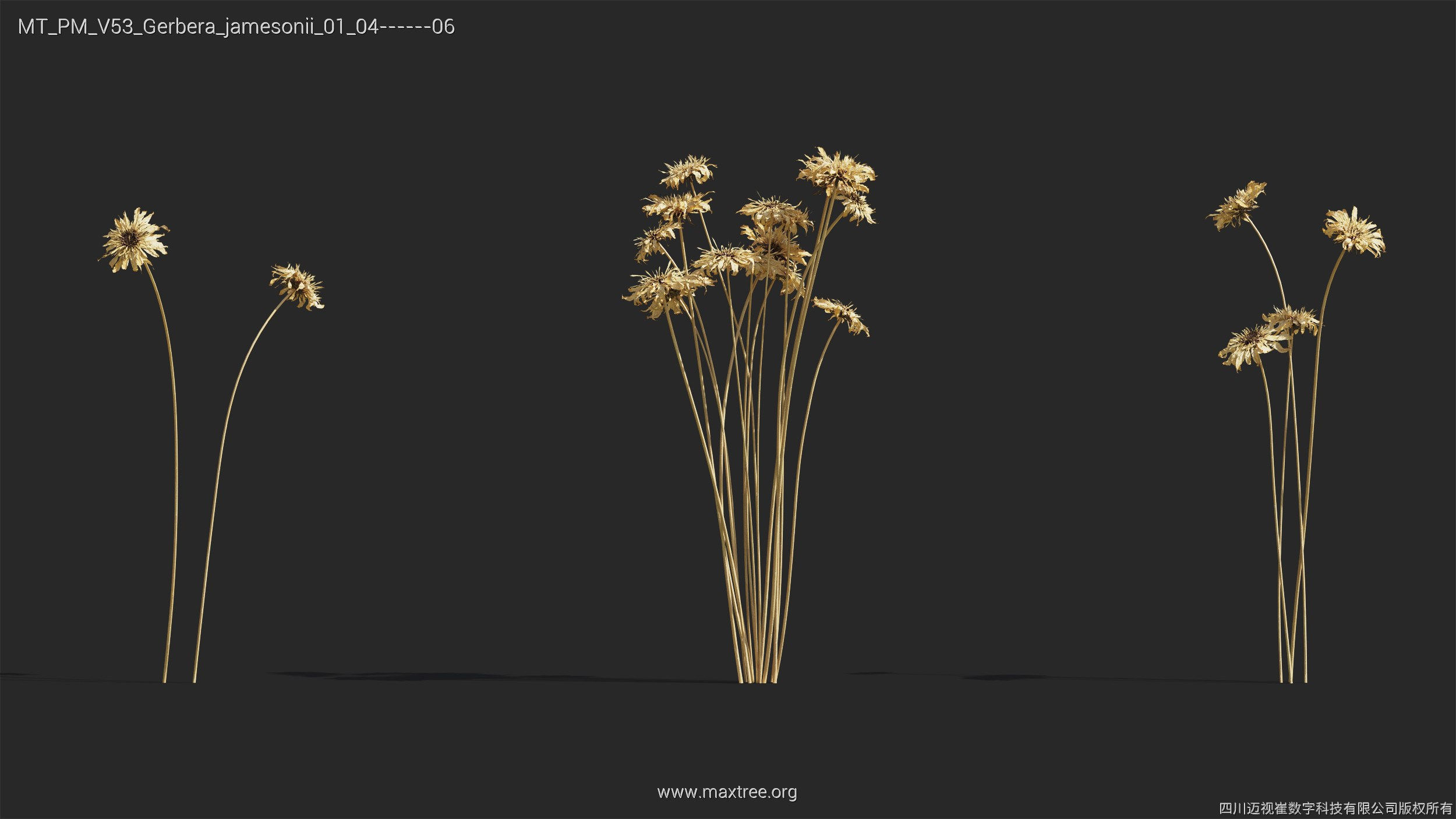 Maxtree Plant Models Vol 53 - Mesh 3D model_21