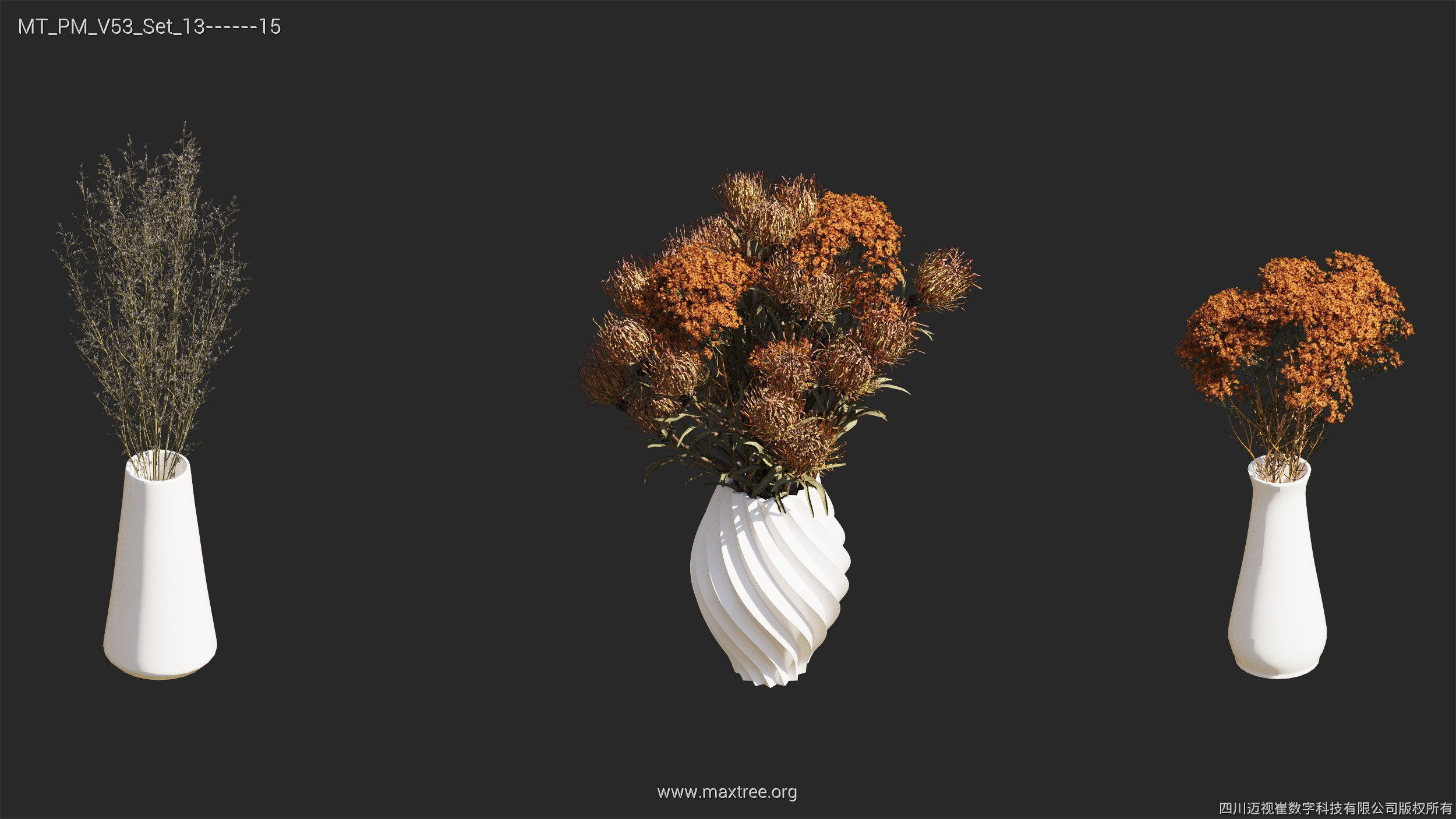 Maxtree Plant Models Vol 53 - Mesh 3D model_40