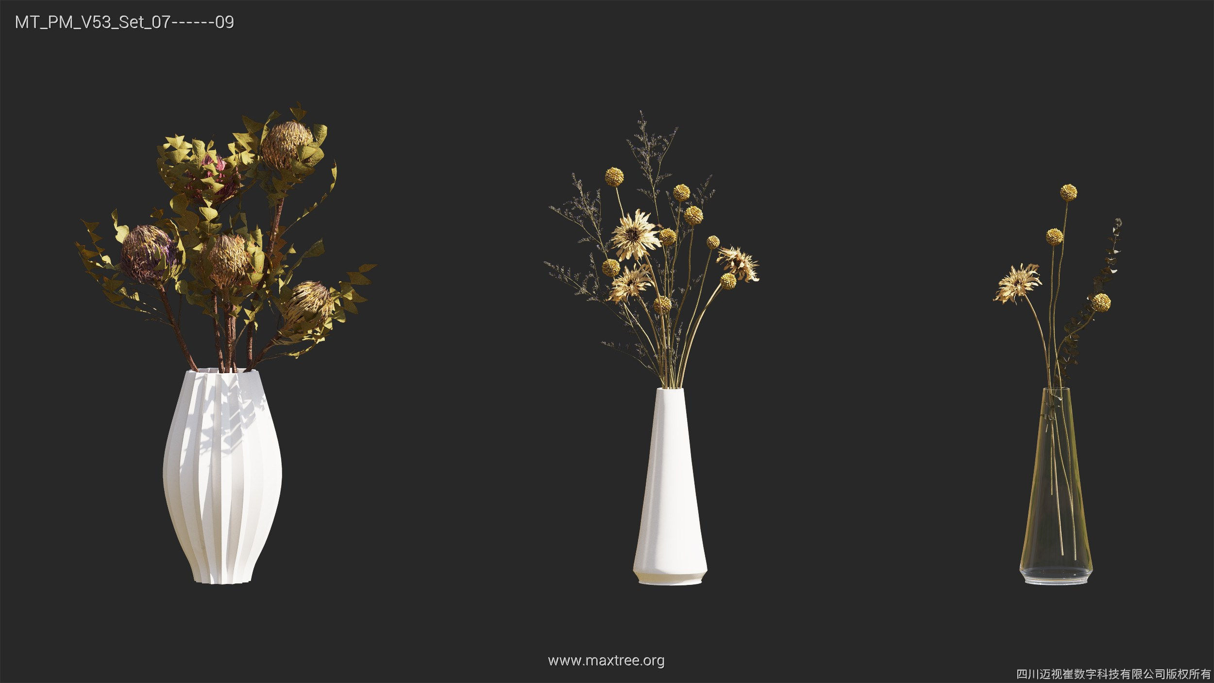 Maxtree Plant Models Vol 53 - Mesh 3D model_38