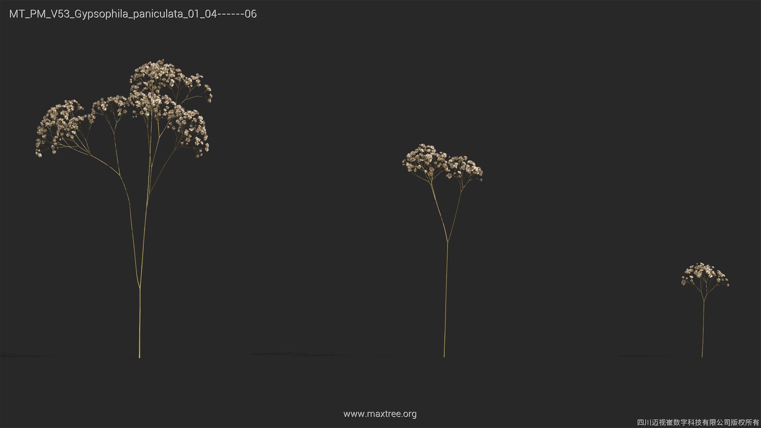 Maxtree Plant Models Vol 53 - Mesh 3D model_23